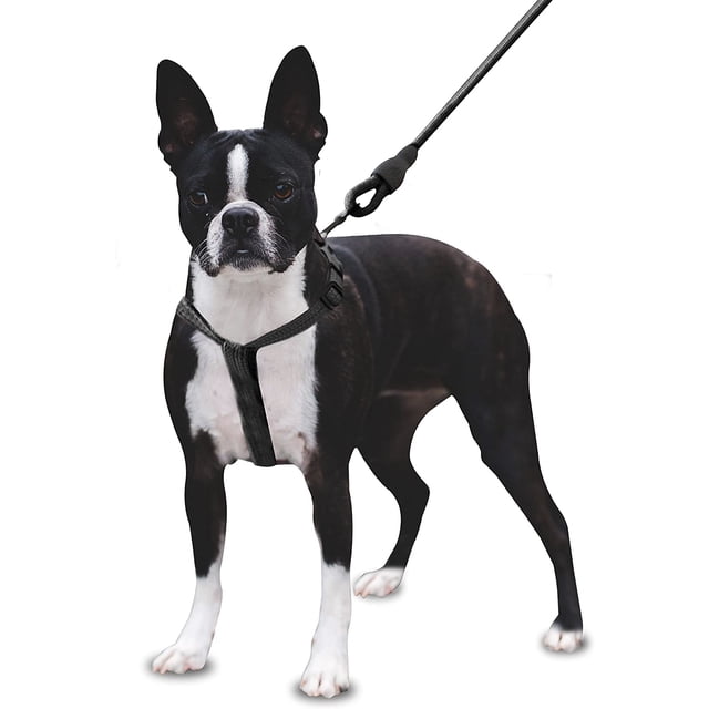 Mascretta Correa y Pechera para Perro Minimalista Mascretta Pechera y Correa para Perro