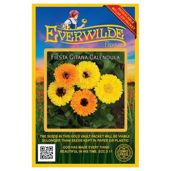 Everwilde Farms - 500 Fiesta Gitana Mixed Calendula Garden Flower Seeds - Gold Vault Jumbo Bulk Seed Packet