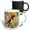 Multicolor, variant on 3drose, a Female Rufous Sided Towhee Bird, 11oz Magic Transforming Mug