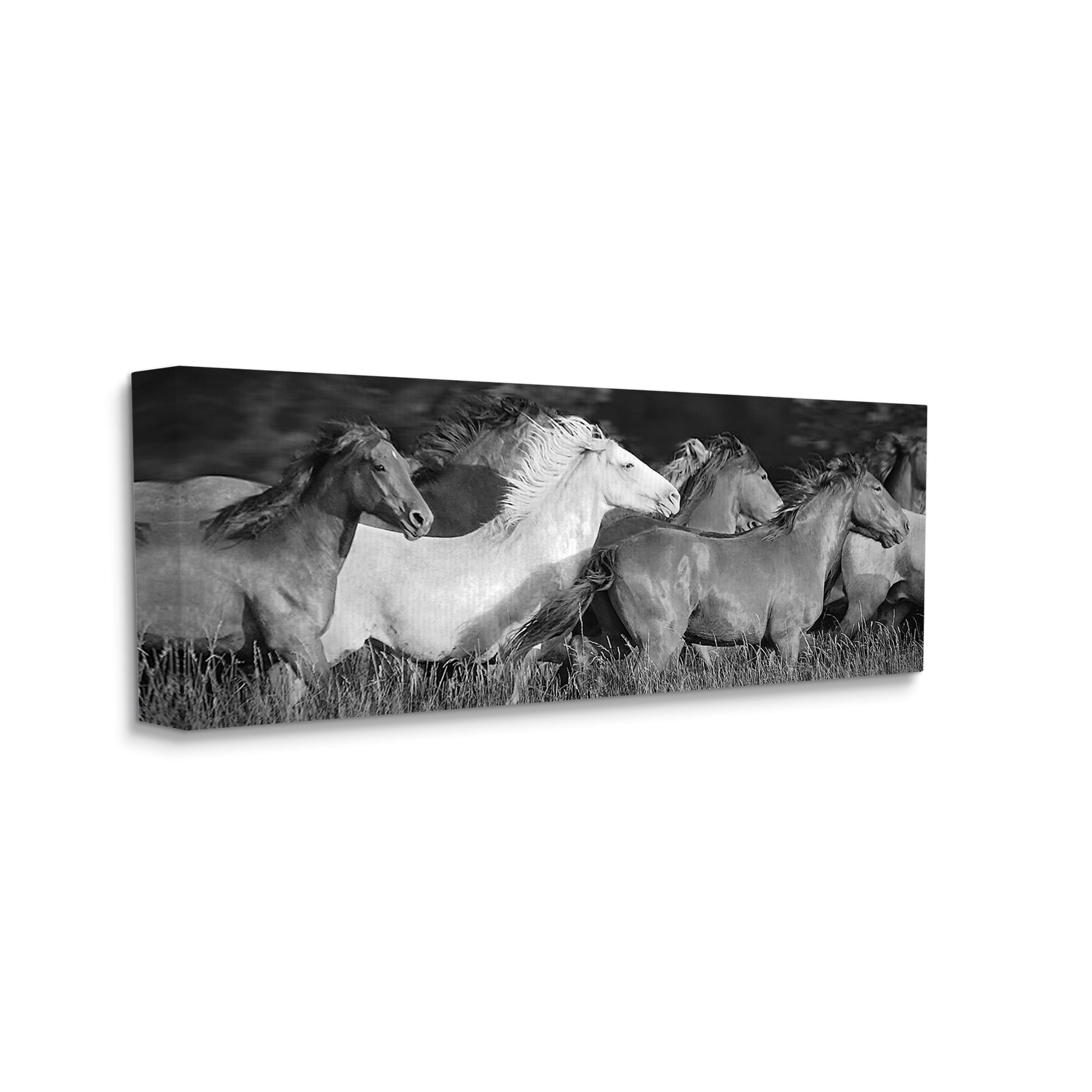 Stupell Industries Horse Herd Galloping Animals & Insects Photography Gallery Wrapped Canvas Art Print Wall Art, 40 x 17