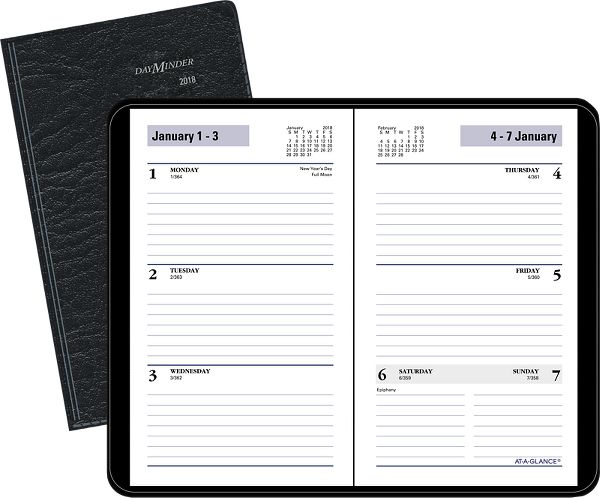 At-A-Glance DayMinder Weekly Pocket Planner - Weekly Planners - Walmart 