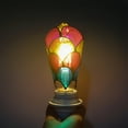 thumbnail image 5 of Hand-Painted Decorative Bulb 2-Pack, Easy Diy Craft Project For All Ages, 120V Unique Home Party Decoration Accessory, 5 of 7