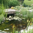 thumbnail image 7 of CrystalClear Thrive Aquatic Plant Food Fertilizer Tablets for Ponds & Lakes, 10-14-8, 200 Tabs, 7 of 7