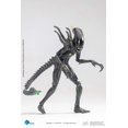 thumbnail image 4 of Figura de acción Hiya Toys Alien contra Predator Blowout Alien, 4 of 9