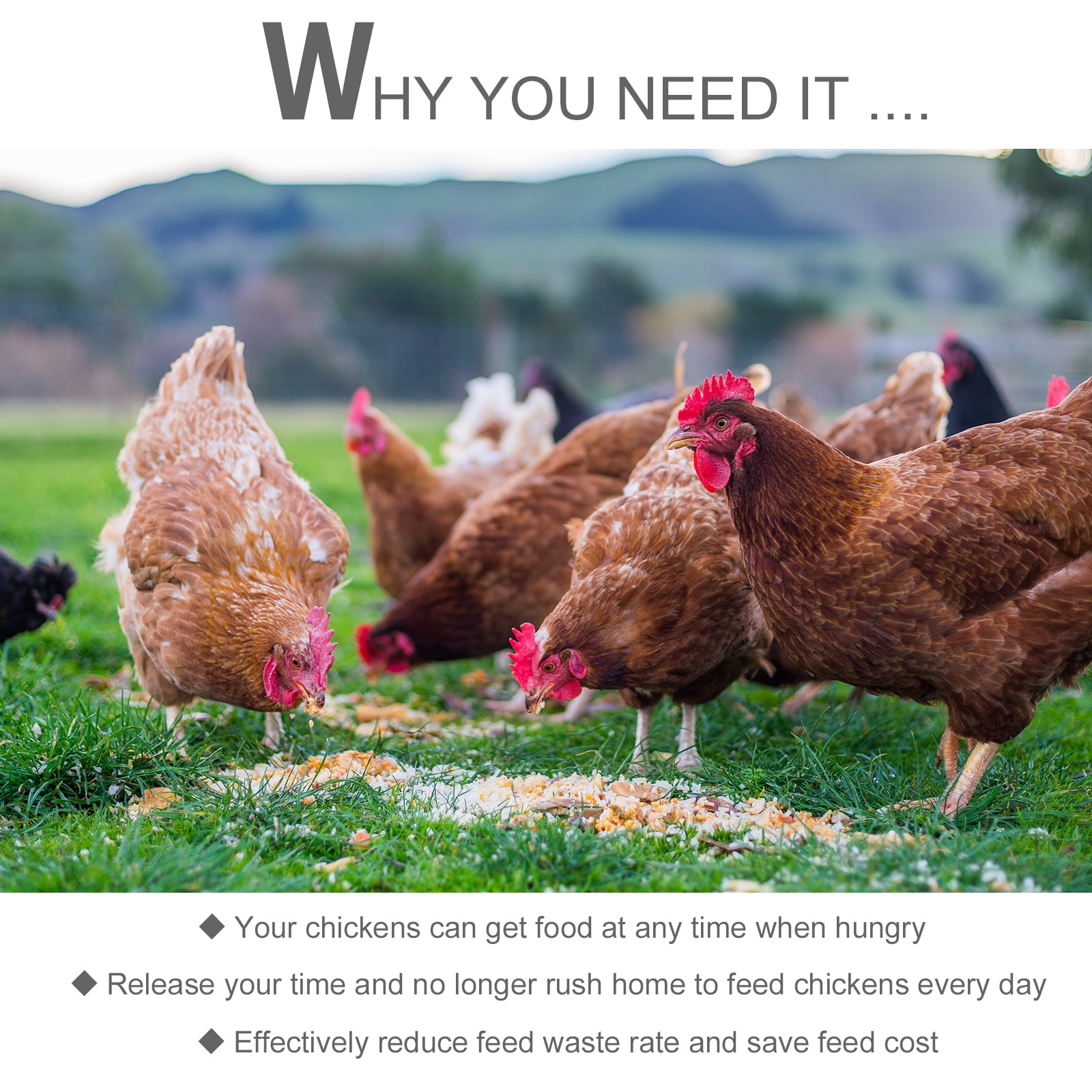 25 lbs Capacity Automatic Chicken Poultry Feeder with a Galvanized Steel and Aluminium Build, Weatherproof Design