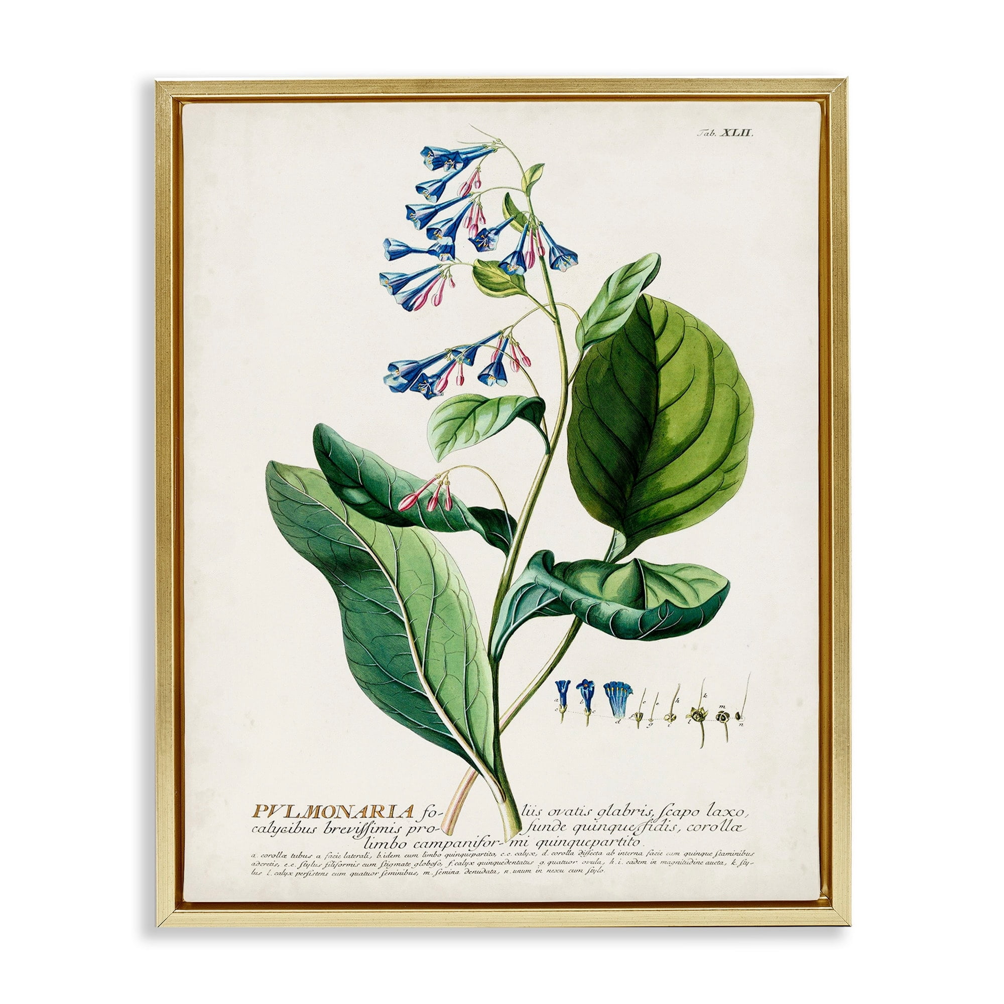 Stupell Industries Botanical Plant Illustration Blue Flowers Vintage Design Metallic Gold Framed Floating Canvas Wall Art, 16x20, by World Art Group