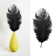 thumbnail image 2 of 12-14 inch Natural Ostrich Feathers, Soft Plume for Diy Crafts Wedding Centerpieces Party Decorations Christmas Tree Ornaments Costume accessories Dream Catcher, 1Pc (Multiple Colors available) Mohdy, 2 of 7