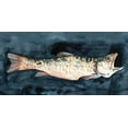 thumbnail image 2 of Caroline, Emma 14x9 Black Ornate Wood Framed with Double Matting Museum Art Print Titled - Hungry Fish II, 2 of 4