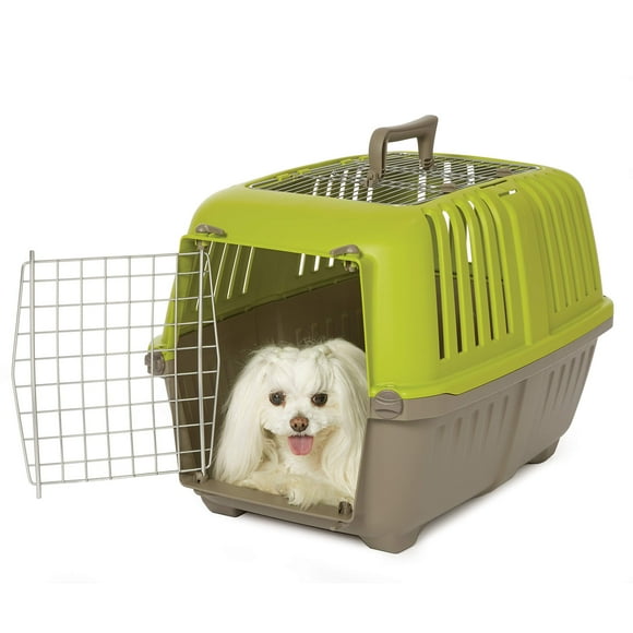 Midwest Spree Travel Pet Carrier, Dog Carrier Features Easy Assembly and Not The Tedious Nut &amp; Bolt Assembly of Competitors, Ideal for Small Dogs &amp; Cats, Green, 24&quot;, Top Loadi
