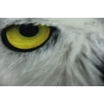 thumbnail image 3 of White Owl | Owl Gifts | Bird | Brid Prints | Bird Decor | Accent Pillow Covers | Throw Pillow Covers | Pillow | Room Decor | Bedroom Decor, 3 of 5