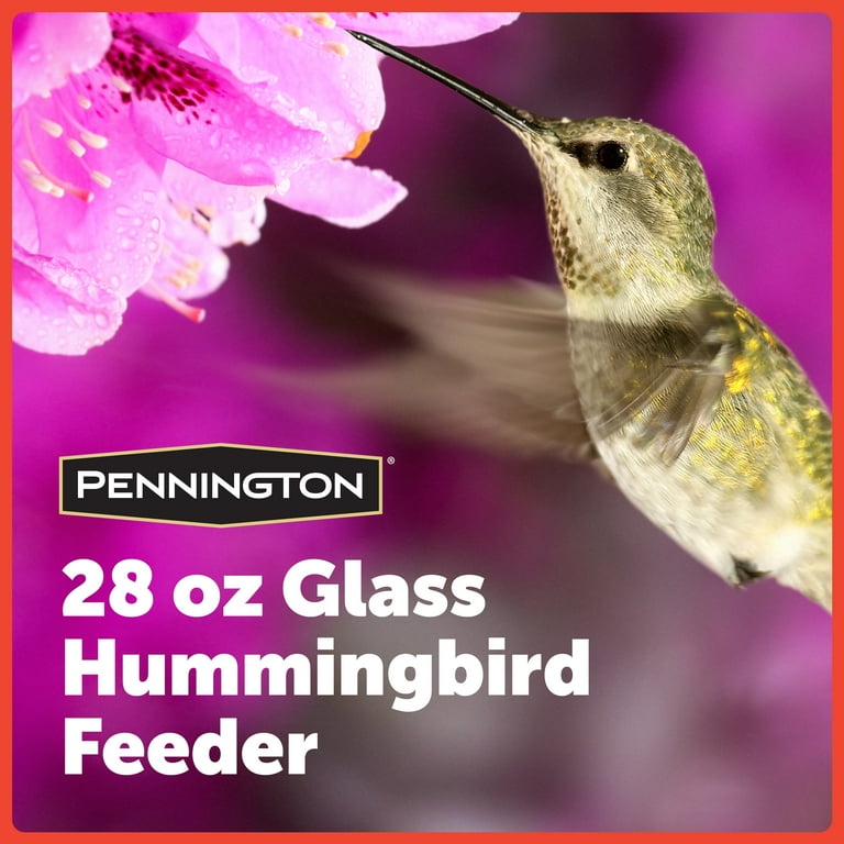 Pennington Decorative 28 Oz Glass Hummingbird Feeder Shelly Lighting