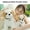 A, variant on D 22Cm Plush St Bernard Dog Stuffed Animal Simulation Realistic Toy Puppy For Kids Gift