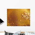 thumbnail image 1 of Honeycomb Shapes Wall Mural by Wallmonkeys Peel and Stick Graphic (24 in W x 18 in H) WM338904, 1 of 4