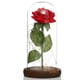 thumbnail image 3 of Rosa de La Bella y la Bestia, Rosa Eterna y Luz LED bajo Cúpula de Vidrio Rosa Artificial sobre Base de Madera para Decoración de Boda Aniversario Navidad Día de la Madre Regalo de Boda Rojo, 3 of 5