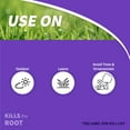 thumbnail image 5 of Bonide Sedge Ender 16 Oz. Concentrate Weed Killer 069, 5 of 6