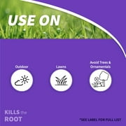 Bonide Sedge Ender 16 Oz. Concentrate Weed Killer 069