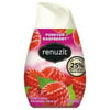 6Pc Adjustables Air Freshener, Forever Raspberry, Solid, 7 oz ConeD6，DIA03667