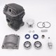 thumbnail image 2 of Carburador Motor Cilindro 42,5 mm WEIHJMXG para 025 MS250 023 MS230 230 250, 2 of 5