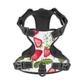 thumbnail image 4 of Bingfone Strawberry1 No Pull Dog Vest Harness For Small Medium Large Dogs Strap For Puppy Walking,Training,Dog Harness-Small, 4 of 9