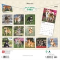 thumbnail image 2 of Shiba Inu 2025 12 X 24 Inch Monthly Square Wall Calendar Pla, 2 of 9
