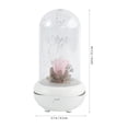 thumbnail image 2 of unbranded Difusor De Aroma USB Con Luz LED Multicolor Y Humidificador Para Y Oficina, 2 of 8