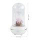 thumbnail image 3 of Difusor de aroma con carga USB, diseño de flor eterna, humidificador LED, purificador, luz nocturna, aromaterapia para decoración del hogar (rosa rosa), 3 of 5