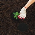 thumbnail image 4 of LEEYNEER 30pcs Non-Woven Tree Cover Rings Plant Root Protector Breathable Garden Fabric Tree Base Cover Tree Mulch Protector Non Woven Tree Mulch Pad Reusable Garden Mat, 4 of 8