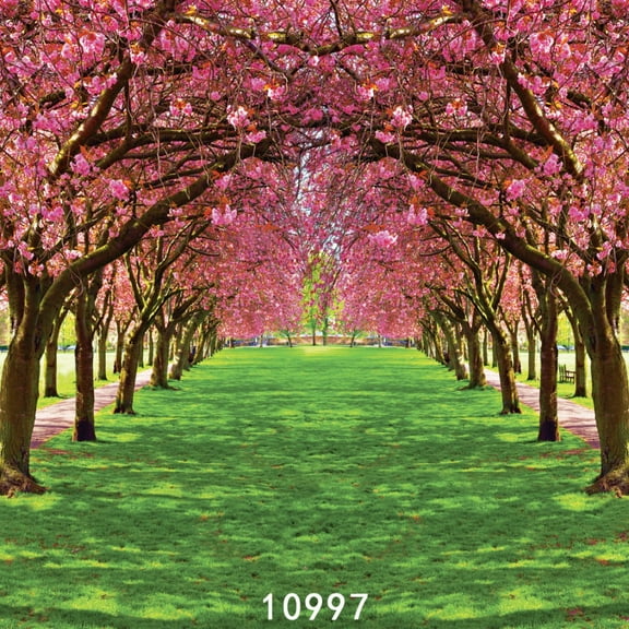 Spring Flower Tree Garden Path Photography Backdrops Backgrounds for Photo Studio Photo Shoot Vinyl Cloth Computer Printed 3D