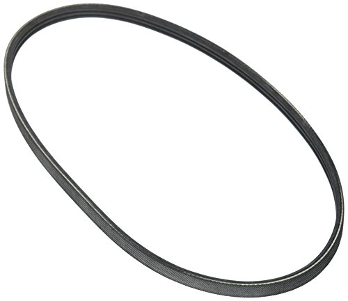walmart serpentine belt