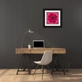 thumbnail image 3 of Frank, Assaf 15x15 Black Ornate Wood Framed with Double Matting Museum Art Print Titled - AF20110818 Dahlia 030C11, 3 of 4