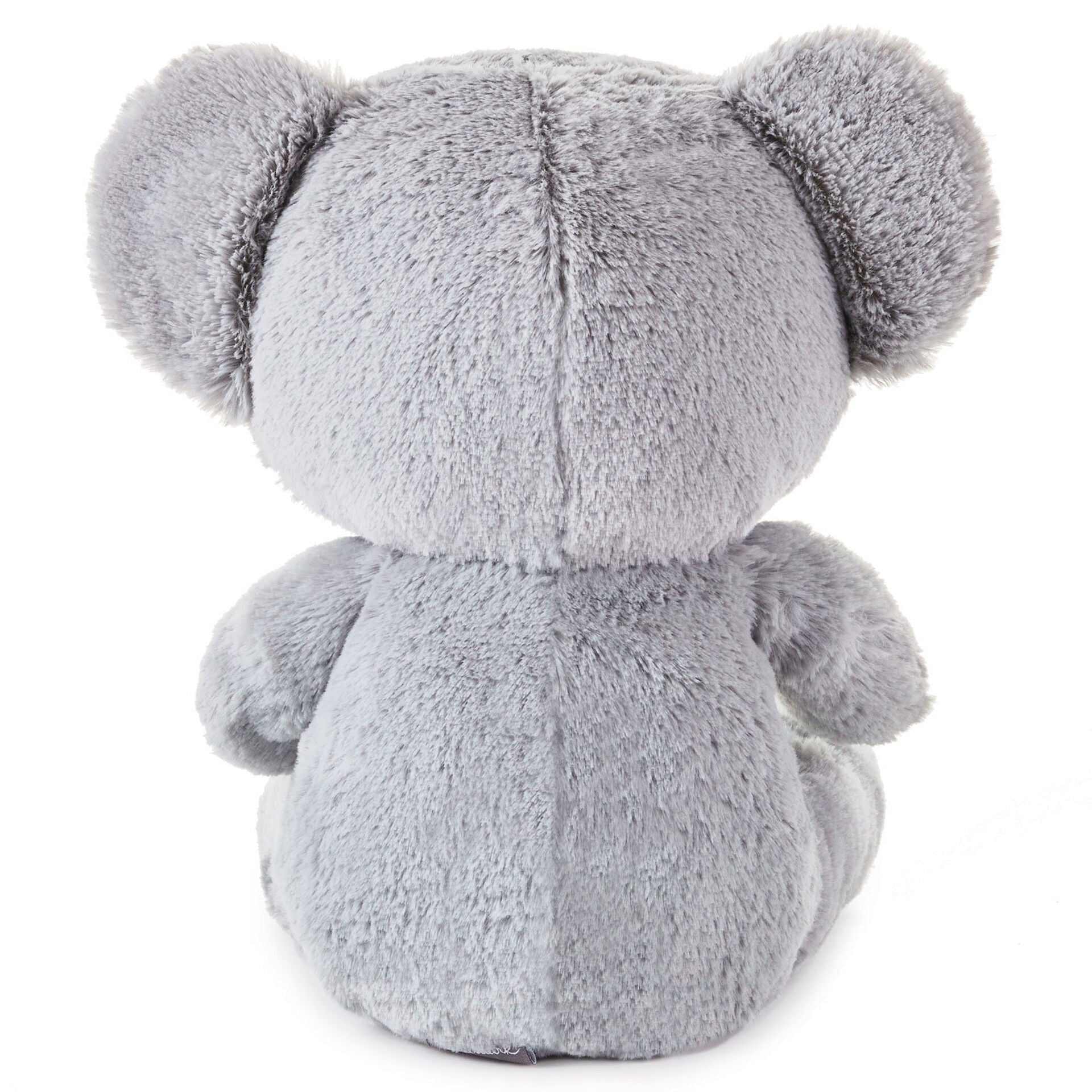 Recordable teddy top bear hallmark