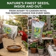 thumbnail image 2 of Alimento para aves Nemeth Farms, semillas de girasol rayadas, 2,3 kg, 2 of 8