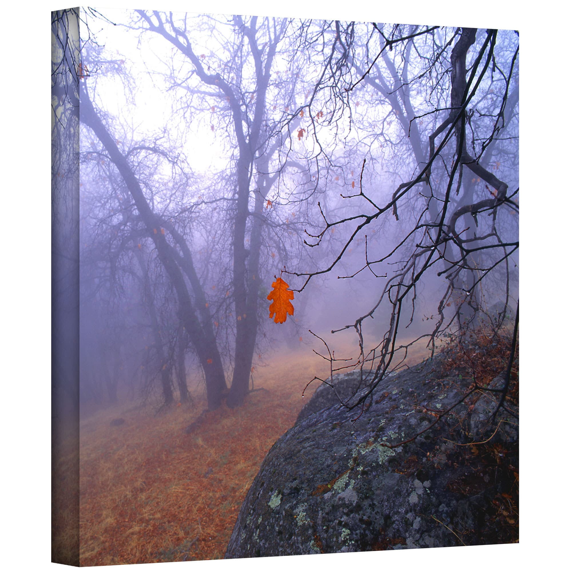 Dean Uhlinger "Nearly Winter" Gallery-Wrapped Canvas