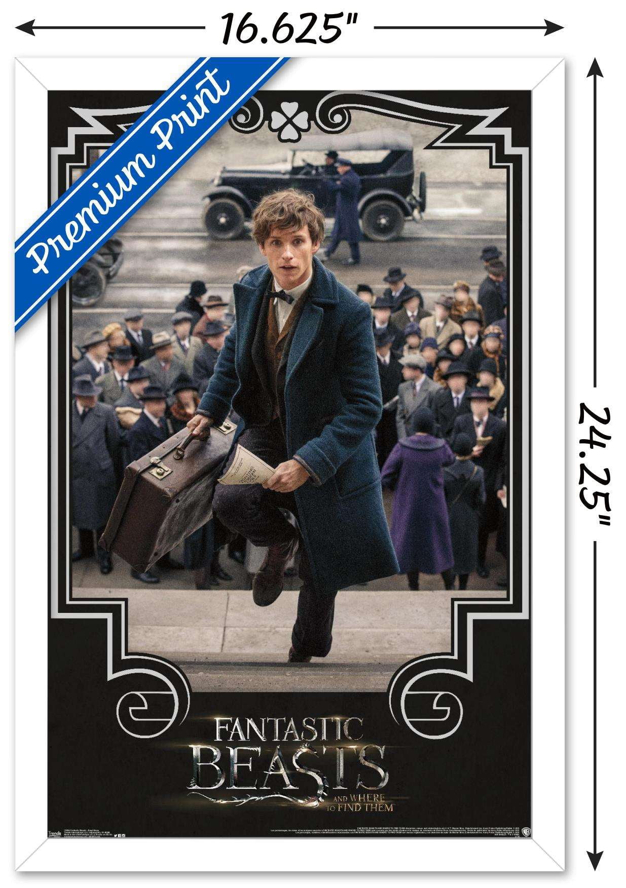 Fantastic Beasts And Where To Find Them - Newt Steps Wall Poster, 14.725" x 22.375", Framed
