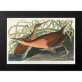 thumbnail image 2 of Audubon, John James 18x13 Black Modern Framed Museum Art Print Titled - Fresh Water Marsh, 2 of 5