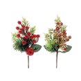 thumbnail image 1 of Berries And Apple Pick (Asstd) - Set of 12, 1 of 4