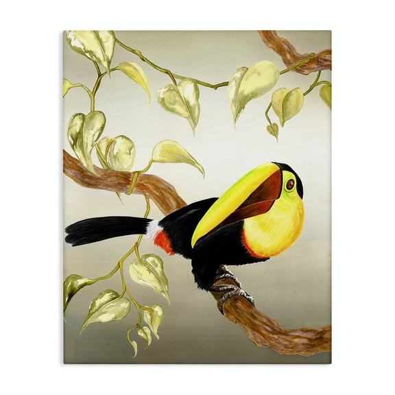 Stupell Industries Coastal Toucan Perched on Branch Canvas Art, 16 x 20, by Christine Reichow