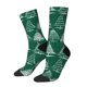 thumbnail image 1 of Balery Christmas Trees Calcetas Largas con Estampado para Hombre y Mujer – Suaves y Transpirables, Talla Única (US 5-11), 1 of 6