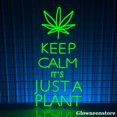 thumbnail image 2 of Glowneon Keep Calm It’s Just Plant Neon Sign, Green Leaf Led Sign, Bar Wall Decor, Pub Led Light, 2 of 3