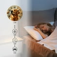 thumbnail image 4 of 14 Inch Wall Clock Battery Operated Silent Clock Decorative for Office, Kitchen, Outdoor, Living Room，Watercolor Golden Retriever Dog with Butterfly Animals Charming, 4 of 4