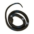 thumbnail image 3 of Realistic Rubber Snake,Plastic Forest Snakes,Halloween Decorations,Colorful Forest Fake Snakes for Garden Props to Scare Birds, Squirrels, Mice, Pranks (Black), 3 of 3