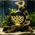 thumbnail image 6 of Artificial Corals for Aquarium Decoration, Realistic Small Reef Ornaments for Fish Tank, Safe Multi Hole Hideout for Betta Shrimp Freshwater Saltwater Aquascaping Setup, 6 of 6