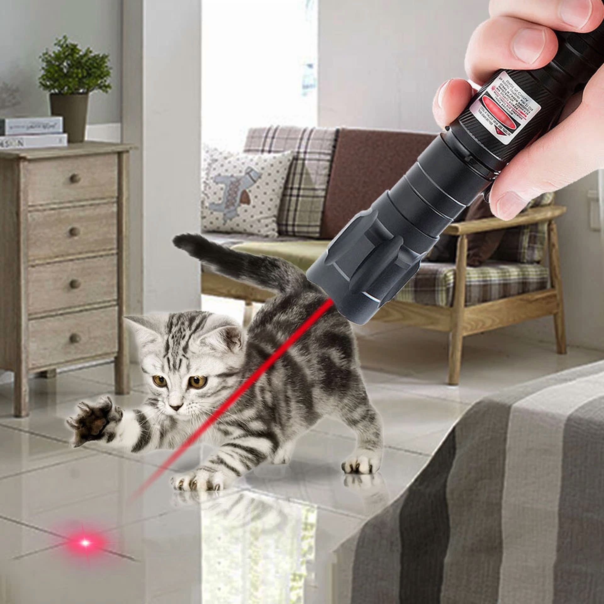 CRESTIN- 2Pcs 650Nm Red Laserpointer Pen Amazing Star Beam Astronomy Light Laser Usa