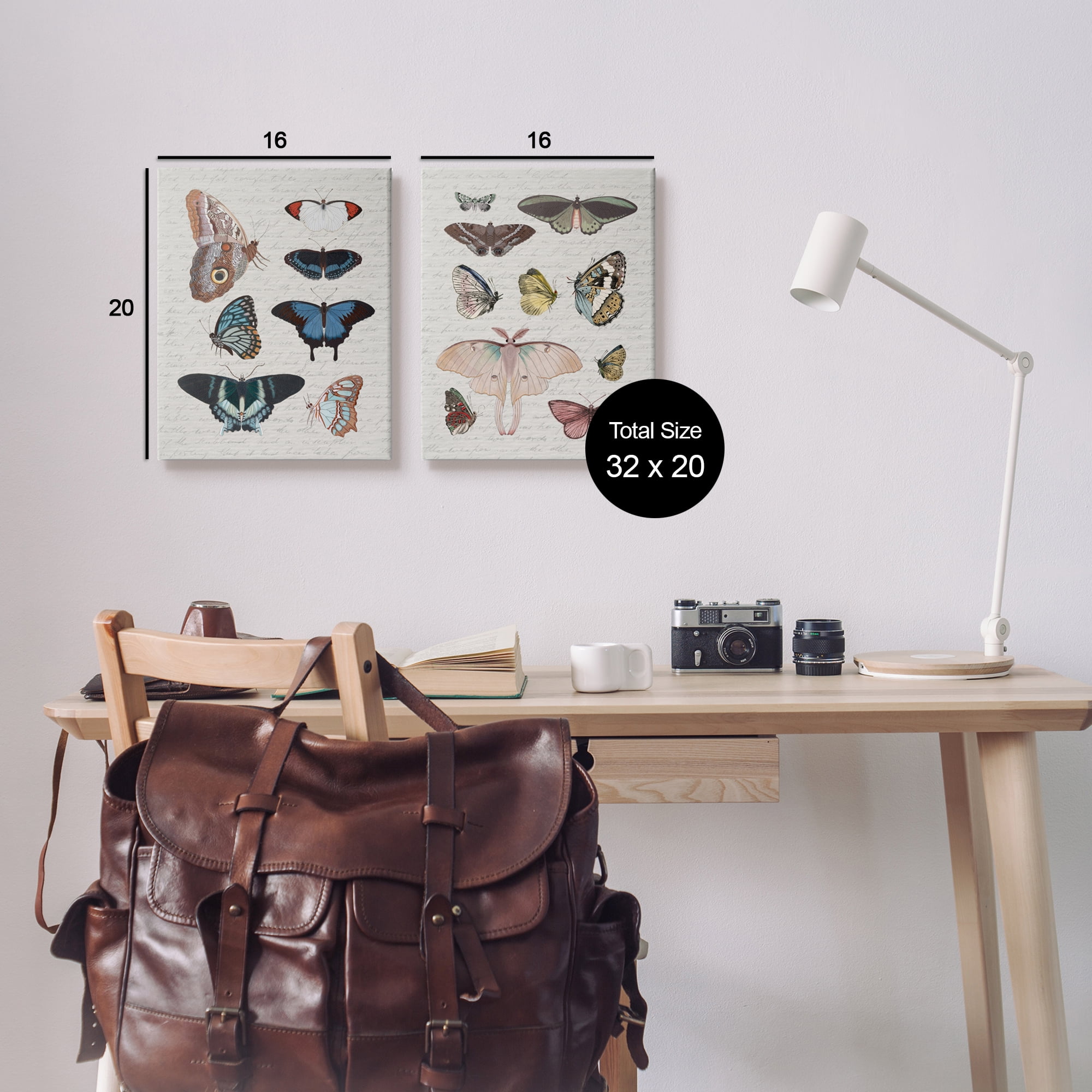 Stupell Industries Vintage Butterflies & Moths Animals & Insects Painting Gallery Wrapped Canvas Art Print Wall Art, 16 x 20, Set of 2