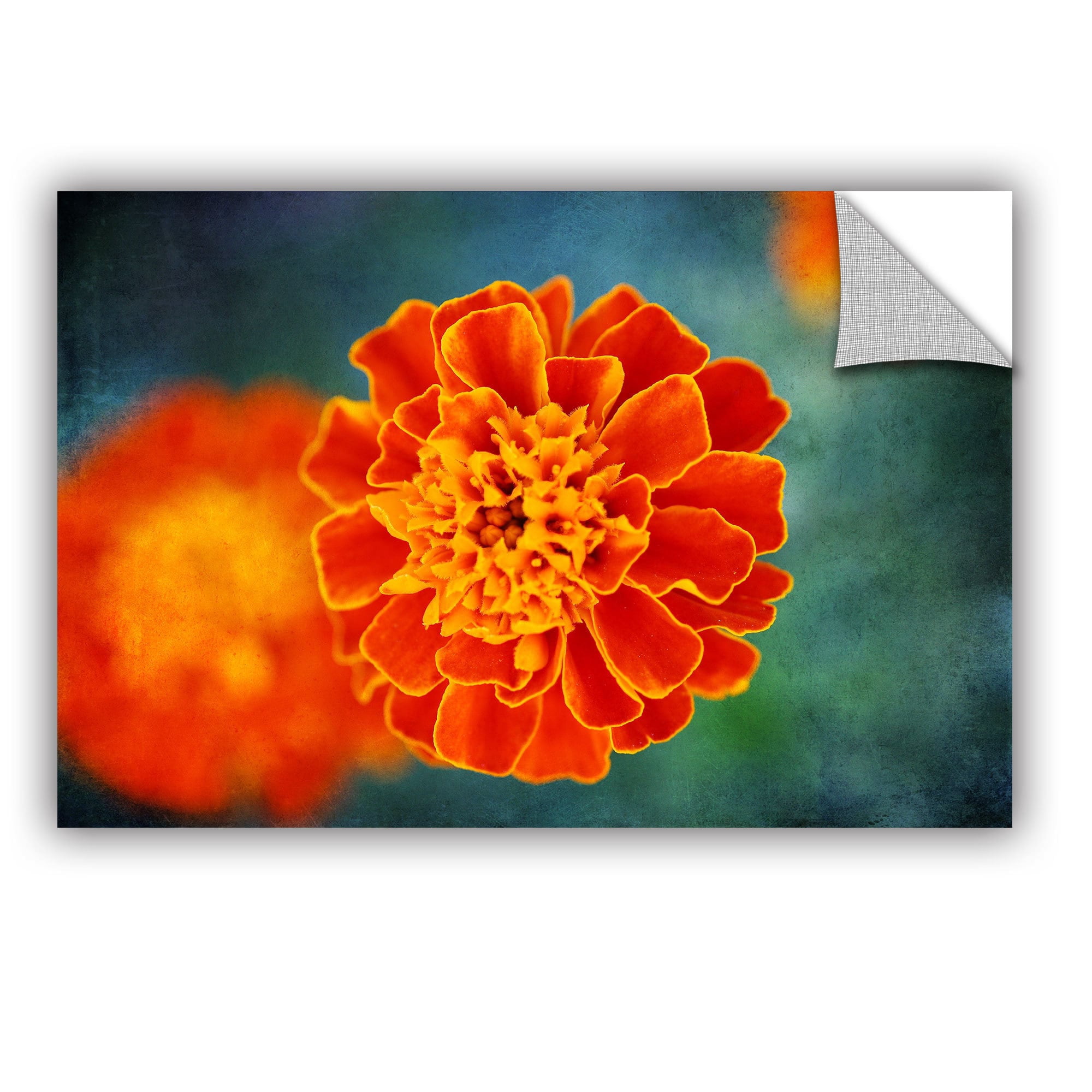ArtAppealz Dragos Dumitrascu "One in Orange" Removable Wall Art
