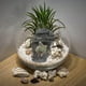 thumbnail image 1 of IDEANATEGRATE De Resina Para De Reptiles Con Plataforma Para, 1 of 6