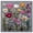 Gallery Wrapped, variant on Fabric Flora Canvas Floral Prints by Art Remedy, Black Frame, 40 x 40