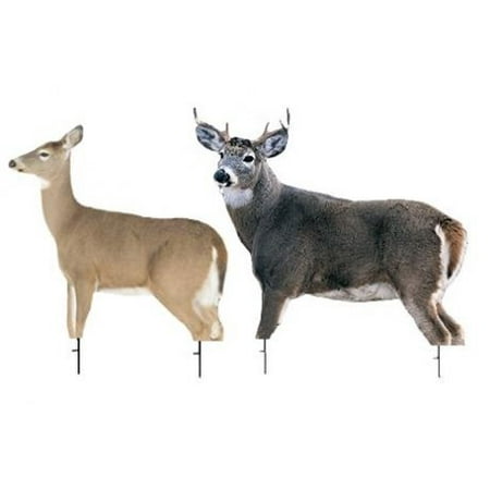 Montana Decoy Co. Dream Team Whitetail Deer Doe and Buck (Best Hunting Times Whitetail Deer)