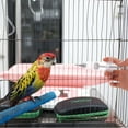 thumbnail image 4 of REOFLYUP 1set Bird Feeder Kit Parrot For Liquid Milk Includes Feeders With Tubes Rings For Cockatiels Sick Birds, 4 of 8