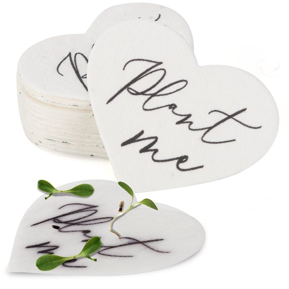 Souvenirs en Fleurs : Souvenirs en Papier Écologiques pour Fleurs Sauvages pour Mariages et Événements - 50 Sachets en Forme de Cœur pour Célébrer l'Amour et le Souvenir